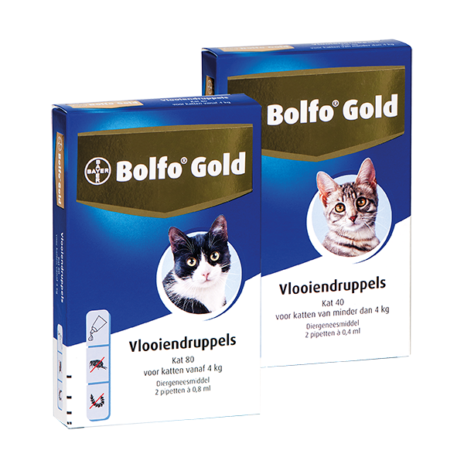 Bolfo Gold kat