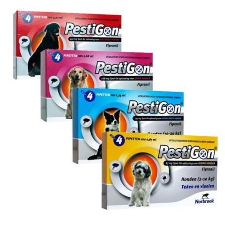 Pestigon hond
