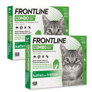 Frontline Combo Spot-On kat