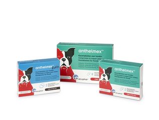 Anthelmex kauwtabletten hond
