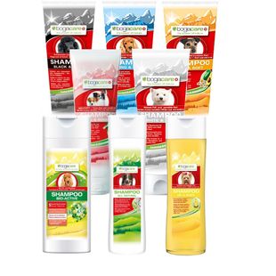Bogacare Shampoo | Hond