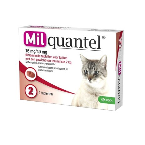 Milquantel kat