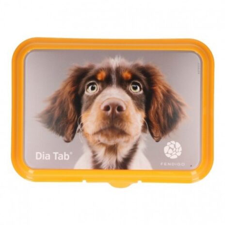 Dia Tab 5,5 gram 20 tabletten