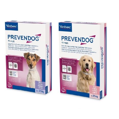 Prevendog hond