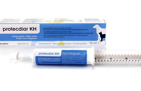 Protecdiar KH pasta | 15 ml