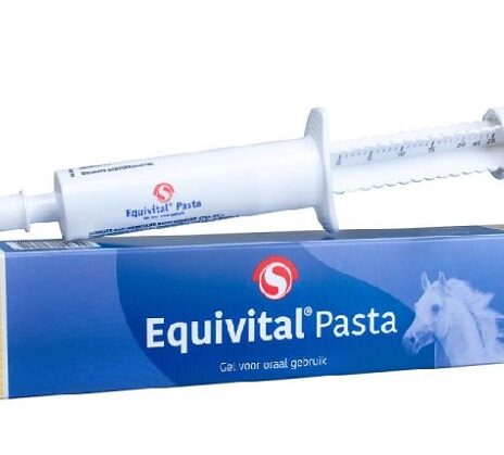 Sectolin Equivital Pasta | 25 ml