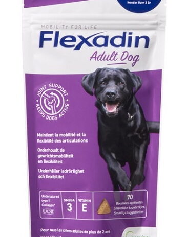 Flexadin Adult Dog | 70 chews